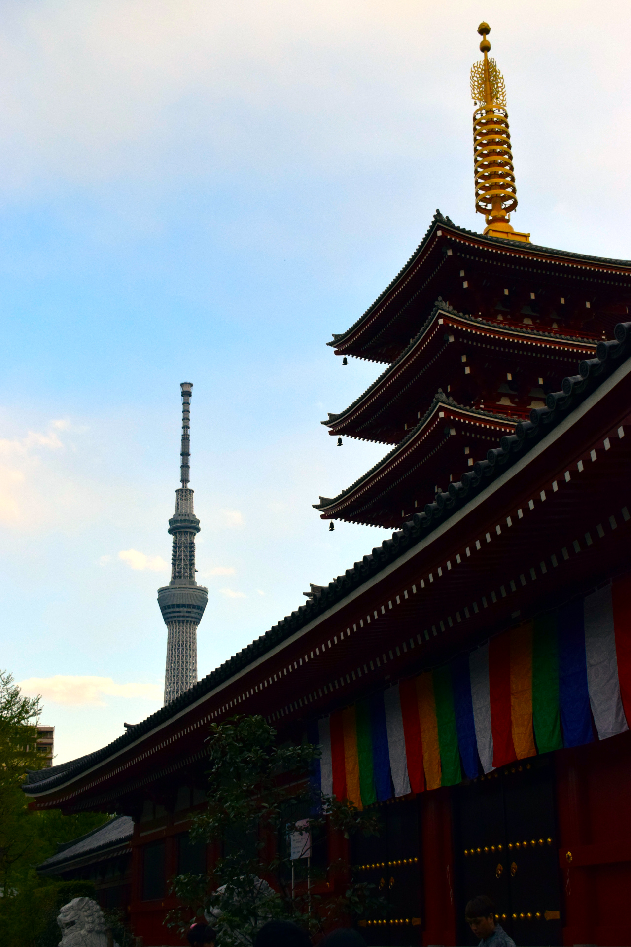 Asakusa sky tips