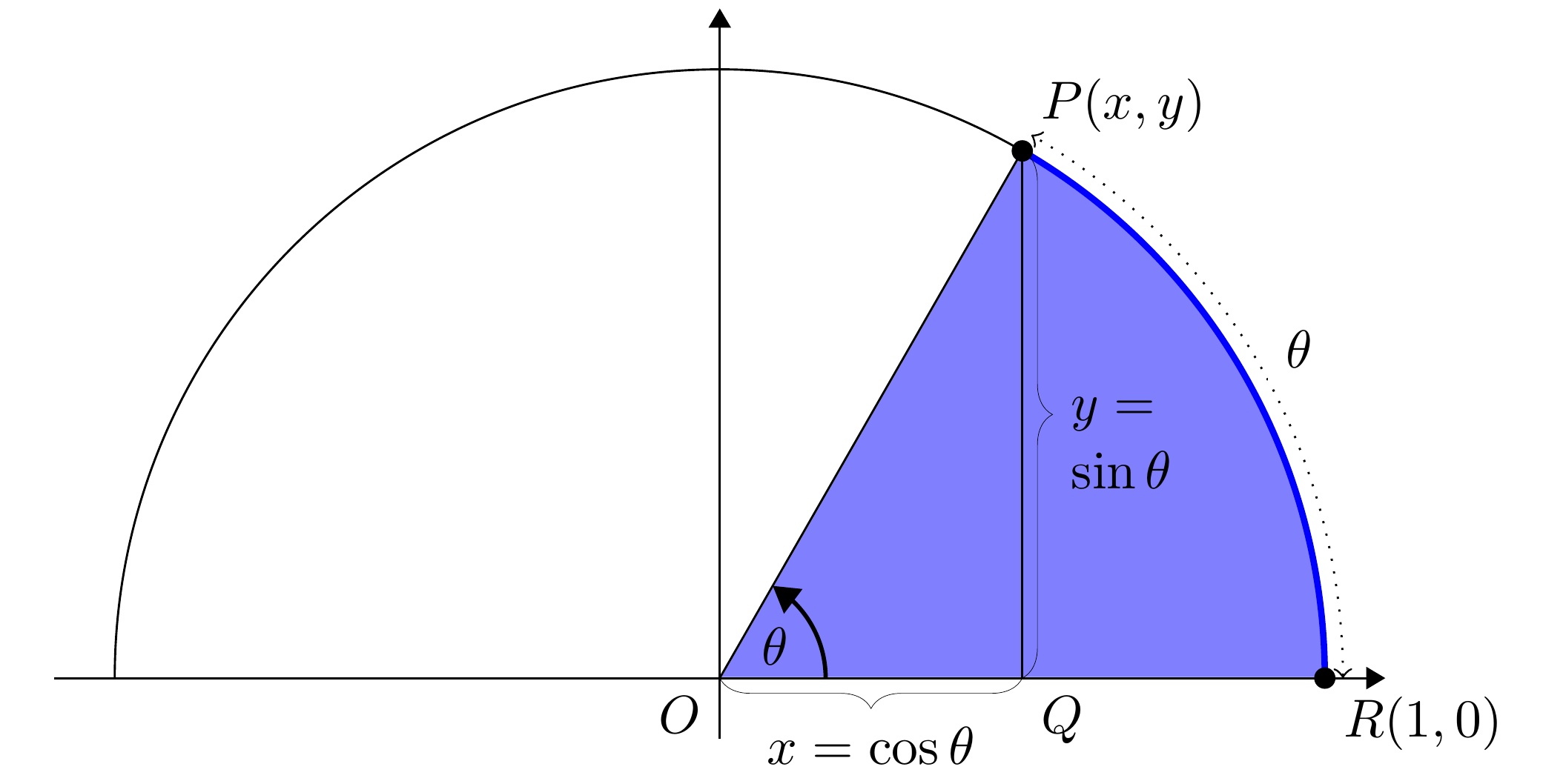 Trigonometric circle.
